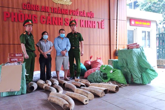 H&agrave; Nội Triệt ph&aacute; đường d&acirc;y t&agrave;ng trữ ng&agrave; voi v&agrave; thuốc l&aacute; lậu quy m&ocirc; lớn năm 2026 - Ảnh 1.