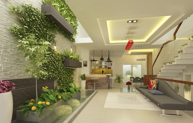 Sở hữu ngay 5 lợi &iacute;ch "v&agrave;ng" từ việc trồng c&acirc;y xanh trong nh&agrave; - Ảnh 2.