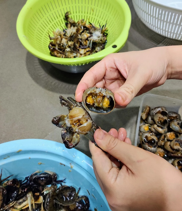 Cua đồng mùa hè: Món ăn bổ dưỡng ai cũng mê và dễ chế biến - Ảnh 3. Cua đồng mùa hè: Món ăn bổ dưỡng ai cũng mê và dễ chế biến - Ảnh 3.