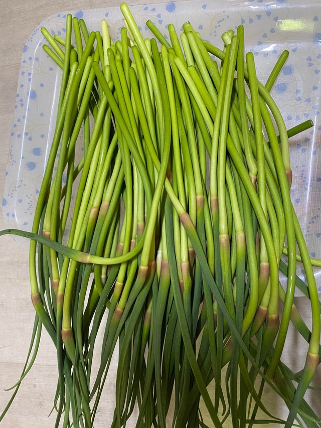 Ngồng tỏi - rau trường thọ ngon v&agrave; bổ dưỡng cho bữa ăn gia đ&igrave;nh - Ảnh 3.