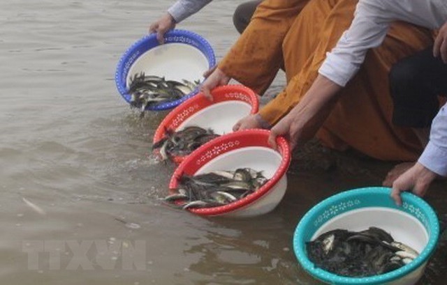 Những khung giờ đẹp nhất để đi phóng sinh - Ảnh 4. Những khung giờ đẹp nhất để đi phóng sinh - Ảnh 4.