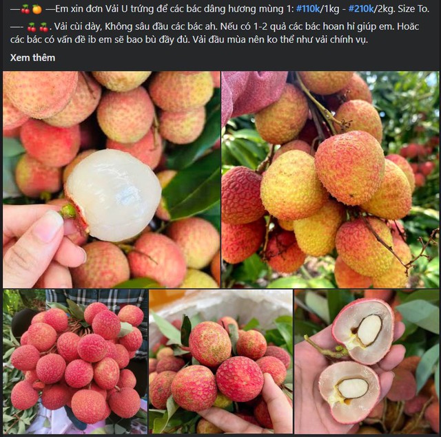 V&agrave;i u đầu m&ugrave;a gi&aacute; cả trăm ngh&igrave;n đồng/kg nhưng vẫn &lsquo;được l&ograve;ng&rsquo; người ti&ecirc;u d&ugrave;ng - Ảnh 3.