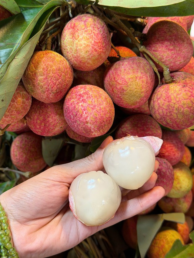 Tiểu thương l&yacute; giải gi&aacute; vải tươi đầu m&ugrave;a cao ch&oacute;t v&oacute;t nhưng vẫn b&aacute;n chạy h&agrave;ng - Ảnh 5.