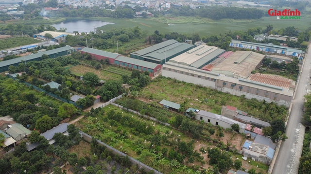 H&agrave;ng loạt nh&agrave; xưởng tự ph&aacute;t tr&ecirc;n đất n&ocirc;ng nghiệp Quốc Oai g&acirc;y lo ngại &ocirc; nhiễm - Ảnh 7.