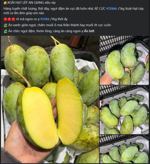 Xo&agrave;i hạt l&eacute;p l&agrave; xo&agrave;i g&igrave; m&agrave; được nhiều người ti&ecirc;u d&ugrave;ng ti&ecirc;u thụ 'ch&oacute;ng mặt' đến vậy? - Ảnh 2.