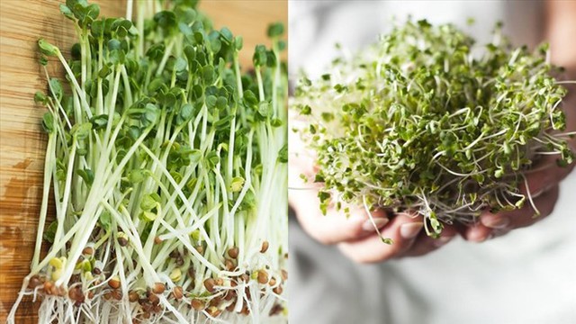 Nam thanh ni&ecirc;n 28 tuổi giảm vi&ecirc;m gan 30 % nhờ ăn rau mầm b&ocirc;ng cải mỗi ng&agrave;y - Ảnh 2.