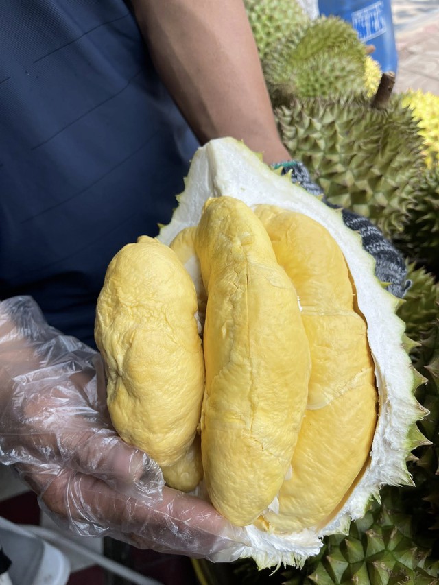 Loạn gi&aacute; sầu ri&ecirc;ng, nơi b&aacute;n v&agrave;i chục ngh&igrave;n, nơi tiền trăm một kg - Ảnh 4.