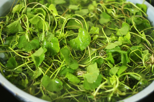 Vừa m&aacute;t vừa gi&uacute;p lợi tiểu, loại rau mọc hoang m&ugrave;a h&egrave; n&agrave;y chế biến được nhiều m&oacute;n ngon cho ng&agrave;y nắng n&oacute;ng - Ảnh 2.