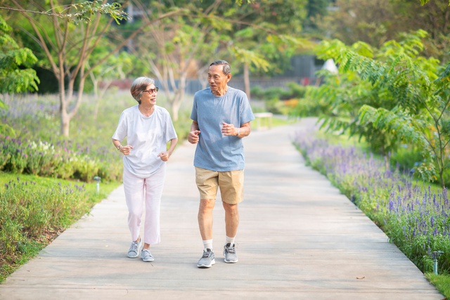 Chăm s&oacute;c sức khỏe n&atilde;o bộ trong nhịp sống hiện đại c&ugrave;ng hoạt huyết dưỡng n&atilde;o Traphaco - Ảnh 2.