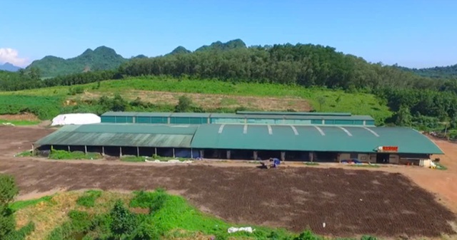 Thanh h&oacute;a ph&aacute;t hiện nhiều vi phạm tại 3 C&ocirc;ng ty ph&acirc;n b&oacute;n trong năm 2026 - Ảnh 2.
