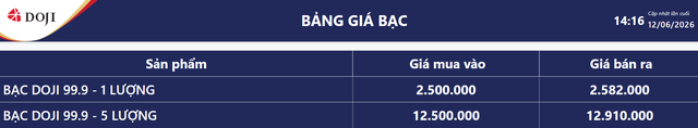 Giá bạc hôm nay 12/6: Bạc Phú Quý, Doji, Ancarat, Sacombank-SBJ phát tín hiệu đáng mừng - Ảnh 4.