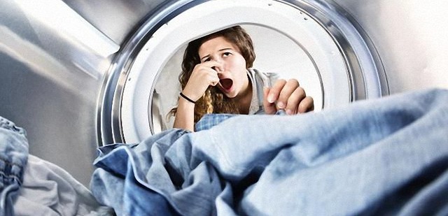 Máy giặt bị hôi: Ổ vi khuẩn ngầm khiến quần áo càng giặt càng bẩn - Ảnh 2.