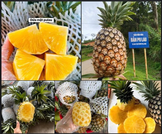 Tiểu thương l&yacute; giải nguy&ecirc;n nh&acirc;n loại dứa c&oacute; gi&aacute; đắt gấp đ&ocirc;i dứa thường nhưng vẫn chiếm được cảm t&igrave;nh của người ti&ecirc;u d&ugrave;ng - Ảnh 2.