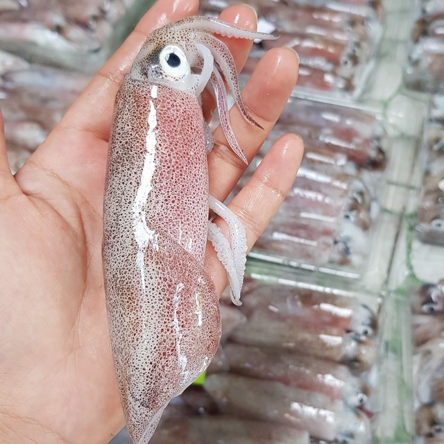 Cách làm mực hấp mực ngon - bí quyết để món ăn p mực giòn ngọt, thơm tự nhiên, không tanh - Ảnh 2. Cách làm mực hấp mực ngon - bí quyết để món ăn p mực giòn ngọt, thơm tự nhiên, không tanh - Ảnh 2.