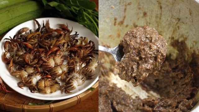 Tại sao nhiều người vẫn thích giã cua bằng tay thay vì máy xay hiện đại? - Ảnh 1. Tại sao nhiều người vẫn thích giã cua bằng tay thay vì máy xay hiện đại? - Ảnh 1.