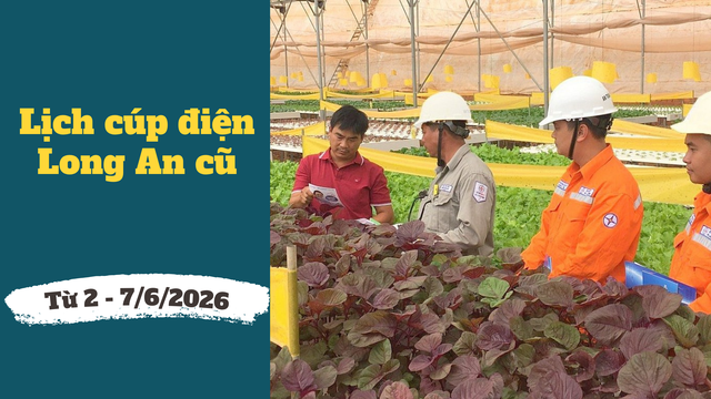Lịch c&uacute;p điện T&acirc;y Ninh (Long An cũ) từ ng&agrave;y 2 &ndash; 7/6/2026: Danh s&aacute;ch khu d&acirc;n cư v&agrave; tuyến đường bị mất điện xếp h&agrave;ng d&agrave;i - Ảnh 1.
