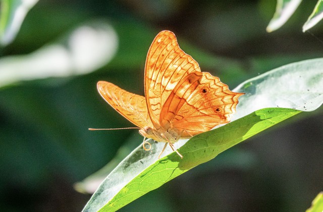 Ng&agrave;y sinh &Acirc;m lịch của người đổi đời nhờ qu&yacute; nh&acirc;n đưa đường chỉ lối - Ảnh 3.