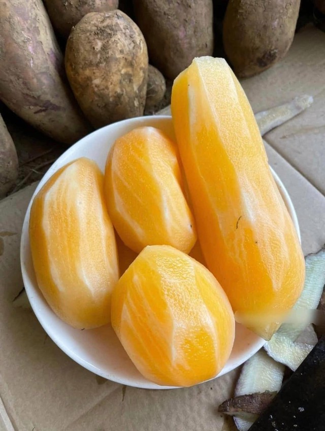 Nh&igrave;n như khoai lang, nhưng ăn gi&ograve;n ngọt hơn củ đậu, v&iacute; như 'nh&acirc;n s&acirc;m dưới l&ograve;ng đất' l&agrave;m được nhiều m&oacute;n ngon bổ dưỡng - Ảnh 4.