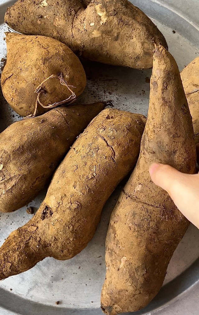 Nh&igrave;n như khoai lang, nhưng ăn gi&ograve;n ngọt hơn củ đậu, v&iacute; như 'nh&acirc;n s&acirc;m dưới l&ograve;ng đất' l&agrave;m được nhiều m&oacute;n ngon bổ dưỡng - Ảnh 3.