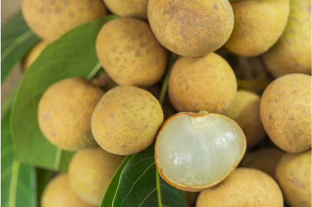 Kh&ocirc;ng phải thuốc bổ: 10 thực phẩm quen thuộc c&oacute; thể &acirc;m thầm k&eacute;o d&agrave;i tuổi thọ mỗi ng&agrave;y - Ảnh 9.