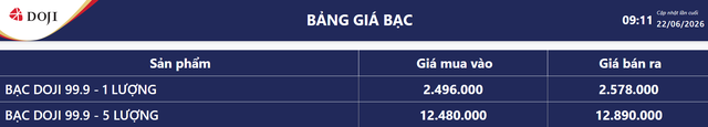 Giá bạc hôm nay 22/6: Bạc Phú Quý, Doji, Ancarat, Sacombank-SBJ có còn giảm? - Ảnh 6.