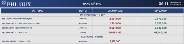 Giá bạc hôm nay 22/6: Bạc Phú Quý, Doji, Ancarat, Sacombank-SBJ có còn giảm? - Ảnh 3.