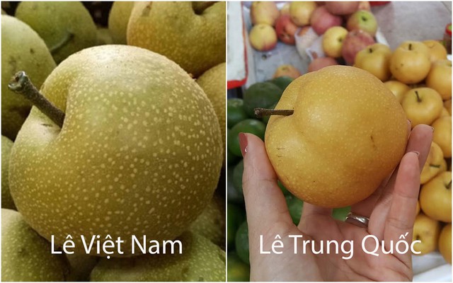 Loại quả 'tốt nhất thế giới' xưa mọc dại giờ l&agrave; đặc sản, v&agrave;o m&ugrave;a b&aacute;n đầy chợ Việt gi&aacute; 'rẻ như cho', trồng một lần thu hoạch cả đời - Ảnh 4.
