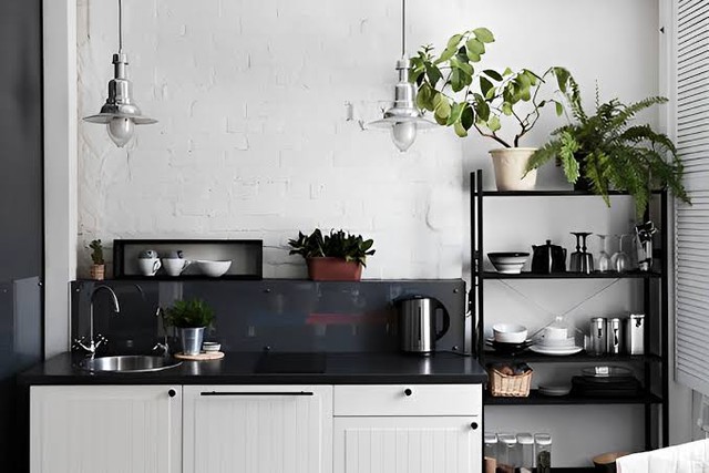 Đặt 4 loại c&acirc;y phong thủy n&agrave;y trong bếp, gia chủ đ&oacute;n lộc đổi đời - Ảnh 2.