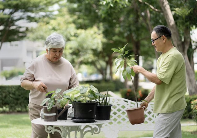 Vợ chồng sống đến tuổi 65 vẫn l&agrave;m được 3 việc n&agrave;y, tuổi gi&agrave; chắc chắn vi&ecirc;n m&atilde;n - Ảnh 1.