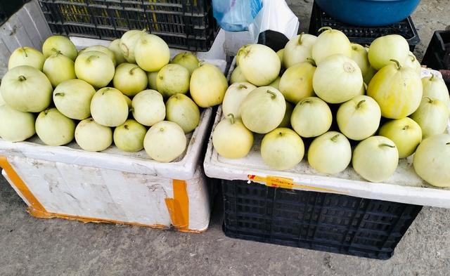 Đang v&agrave;o m&ugrave;a ngon nhất năm, dưa l&ecirc; được b&aacute;n đầy chợ với gi&aacute; rẻ, m&aacute;ch bạn c&aacute;ch chọn dưa l&ecirc; ngọt lịm, thơm tự nhi&ecirc;n v&agrave; kh&ocirc;ng h&oacute;a chất - Ảnh 2.