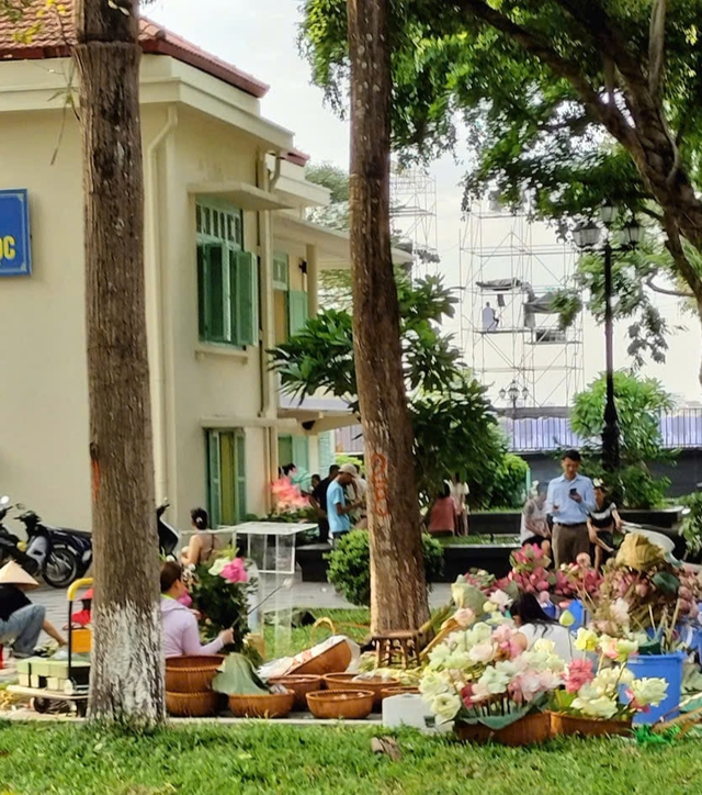 Lễ hội sen H&agrave; Nội 2026: Kh&aacute;m ph&aacute; sắc hoa sen tại Hồ T&acirc;y - Ảnh 11.