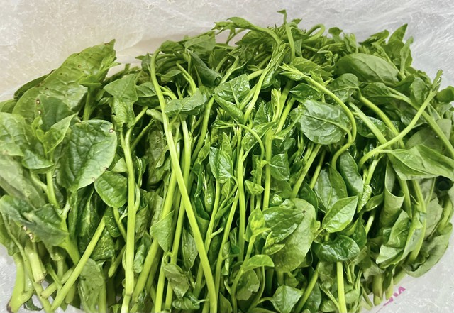 5 loại rau củ m&ugrave;a h&egrave; hỗ trợ kiểm so&aacute;t mỡ m&aacute;u, tốt cho người vi&ecirc;m dạ d&agrave;y - Ảnh 2.