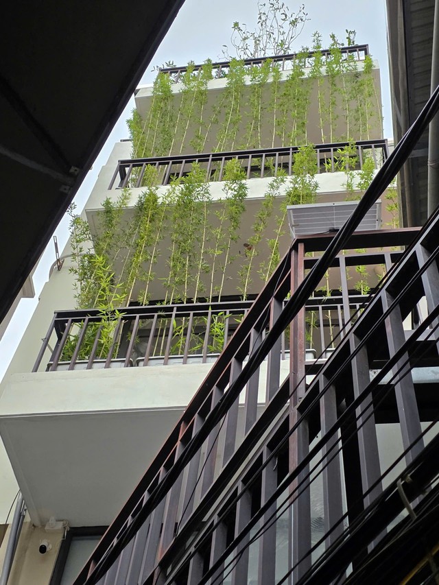 Mẹo chống n&oacute;ng cho nh&agrave; hướng T&acirc;y như &ldquo;l&ograve; nung&rdquo; giữa m&ugrave;a h&egrave; vừa tiết kiệm điện - Ảnh 3.