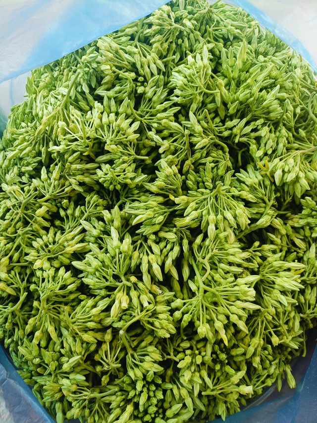 Hoa thi&ecirc;n l&yacute; x&agrave;o thịt b&ograve;: M&oacute;n ăn m&ugrave;a h&egrave; thơm ngon như thuốc ngủ tự nhi&ecirc;n - Ảnh 2.