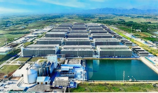 Tổ hợp chăn nu&ocirc;i lợn nh&agrave; cao tầng c&ocirc;ng nghệ cao H&agrave; Nội: Giải ph&aacute;p đột ph&aacute; hay b&agrave;i to&aacute;n m&ocirc;i trường mới? - Ảnh 1.