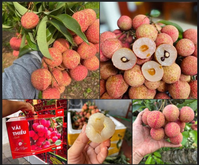 Một loại quả đặc sản của Việt Nam ch&iacute;nh thức chinh phục thị trường Mỹ - Ảnh 2.