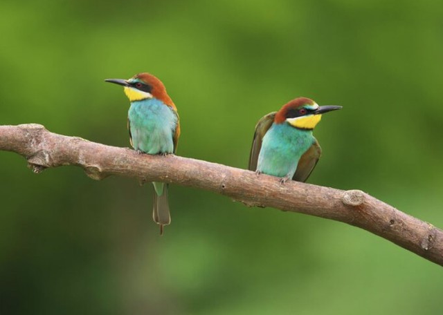 H&eacute; lộ giờ sinh &Acirc;m lịch của người phụ nữ kh&eacute;o l&eacute;o, được nhiều người y&ecirc;u mến - Ảnh 1.
