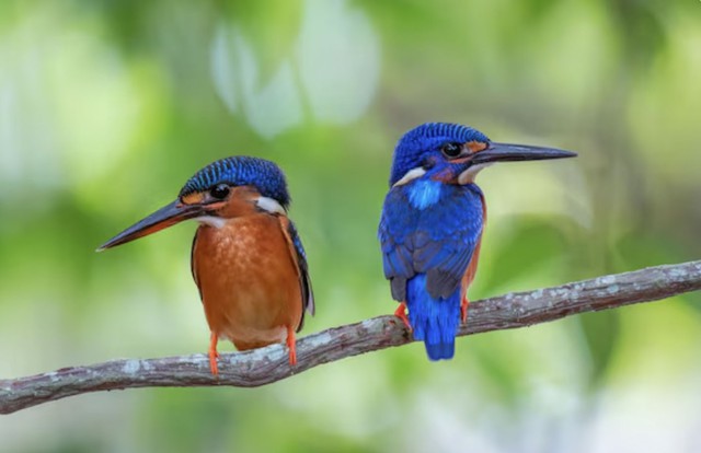 H&eacute; lộ giờ sinh &Acirc;m lịch của người phụ nữ kh&eacute;o l&eacute;o, được nhiều người y&ecirc;u mến - Ảnh 2.