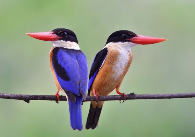 H&eacute; lộ giờ sinh &Acirc;m lịch của người phụ nữ kh&eacute;o l&eacute;o, được nhiều người y&ecirc;u mến - Ảnh 3.
