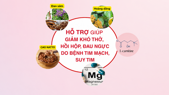Mới ph&aacute;t hiện suy tim cần l&agrave;m g&igrave; để ph&ograve;ng bệnh nặng l&ecirc;n? - Ảnh 4.