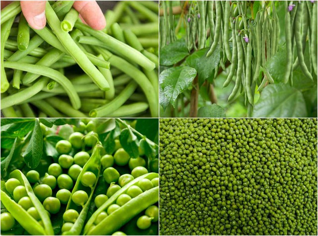 Ăn g&igrave; kh&ocirc;ng b&eacute;o, c&agrave;ng ăn c&agrave;ng gầy? - Ảnh 2.