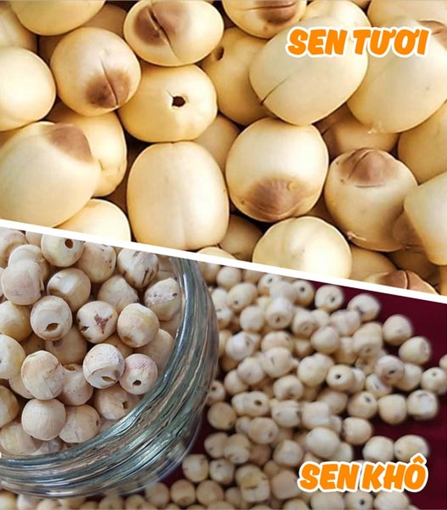 N&ecirc;n ăn hạt sen tươi hay hạt sen kh&ocirc; để tốt cho sức khỏe? - Ảnh 1.