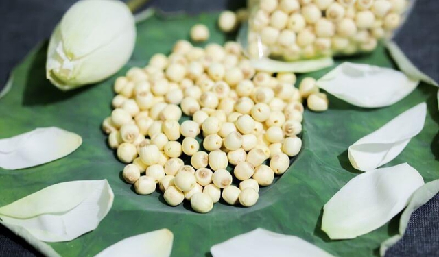 N&ecirc;n ăn hạt sen tươi hay hạt sen kh&ocirc; để tốt cho sức khỏe? - Ảnh 3.