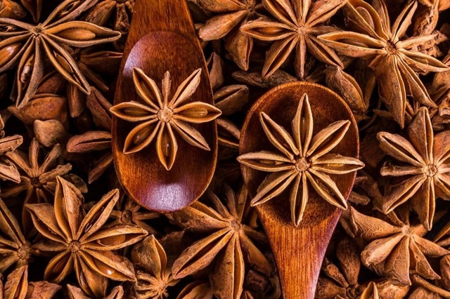 Loại hoa cực qu&yacute; hiếm được thế giới săn l&ugrave;ng c&oacute; ở Việt Nam gi&uacute;p thu lợi h&agrave;ng ngh&igrave;n tỷ, xuất khẩu lớn thứ 2 thế giới - Ảnh 3.