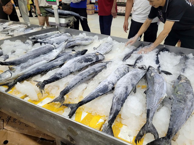 C&aacute; thu gi&agrave;u omega-3, muốn m&oacute;n ăn thơm ngon đừng bỏ qua những dấu hiệu nhận biết c&aacute; tươi - Ảnh 1.
