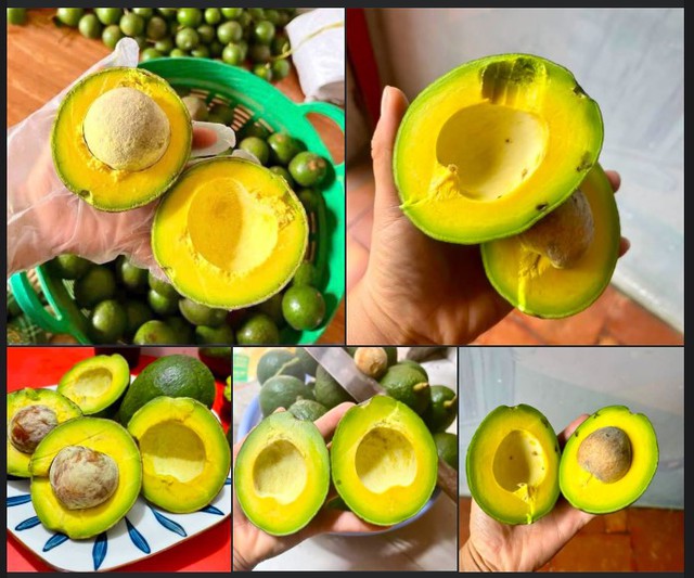Bơ v&agrave;o m&ugrave;a b&aacute;n tr&agrave;n ngập thị trường, n&ecirc;n chọn loại bơ n&agrave;o mới đ&aacute;p ứng đủ c&aacute;c ti&ecirc;u ch&iacute; &ldquo;ngon - bổ - rẻ&rdquo;? - Ảnh 6.