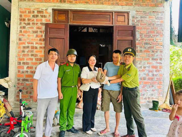 Bất ngờ phát hiện động vật quý hiếm 'đi lạc' vào vườn cao su ở Huế - Ảnh 1.