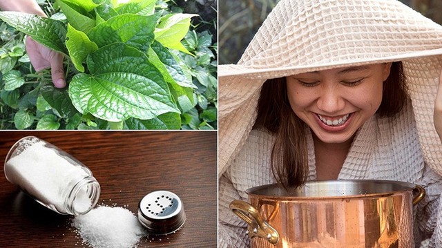B&iacute; quyết trị mụn bằng l&aacute; lốt hiệu quả bất ngờ - Ảnh 3.