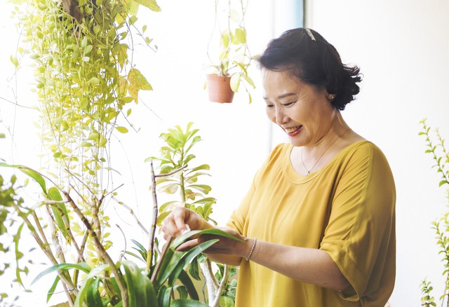 Đừng đợi nghỉ hưu mới lo: 3 điều quyết định tuổi gi&agrave; sung t&uacute;c hay chật vật - Ảnh 1.
