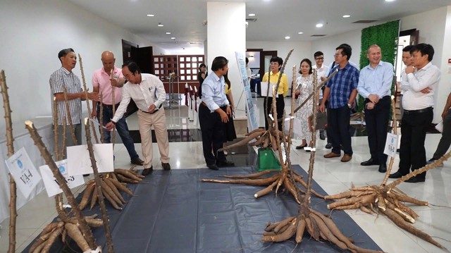 VinFuture và hành trình kết nối trí tuệ toàn cầu với những bài toán phát triển của Việt Nam - Ảnh 3.